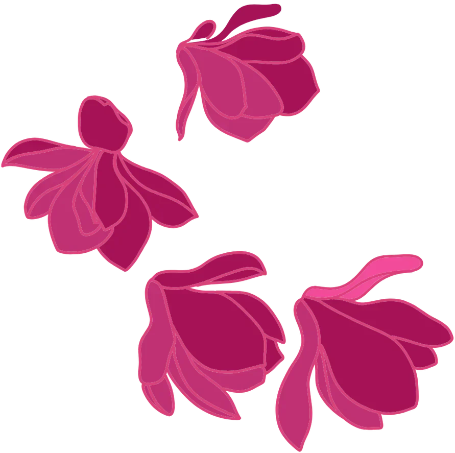 Magnolias del pañuelo N.º 03
